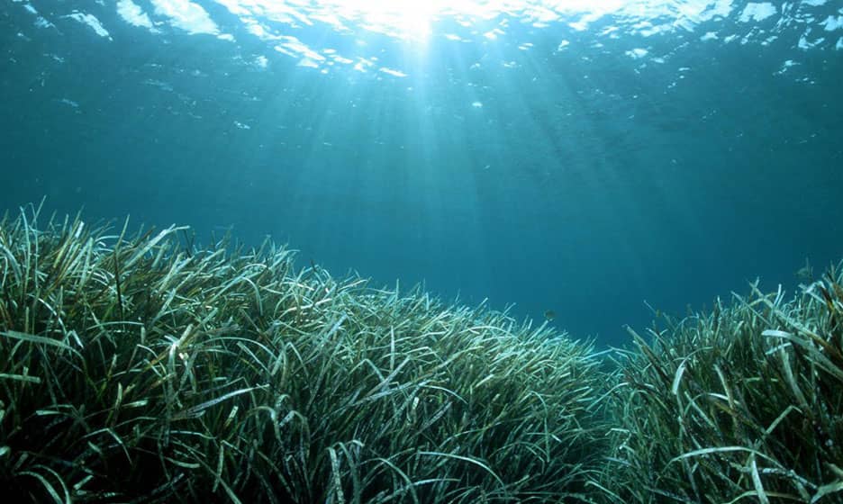 bateau-electrique-engagements-neutralité-carbone-nautisme